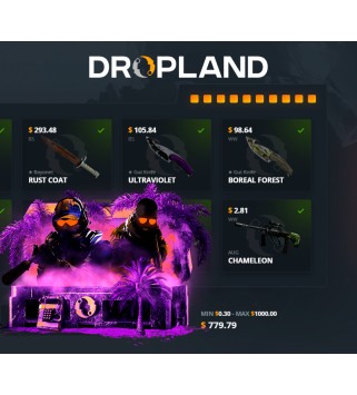 Random CS2 Skin Case Dropland.net Key GLOBAL